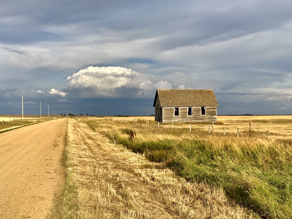 Just scrolling through some pics and came across this from the Fall. A lot of farming clients have a field called “School” or Old School” or something like that. And they usually have the one-room schoolhouse still standing.