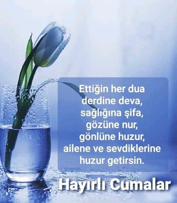 Hazal Can (@hazalcann21) on Twitter photo 