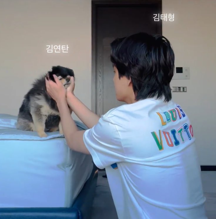 thvrandom's tweet image. 🥺🤍 #btsv