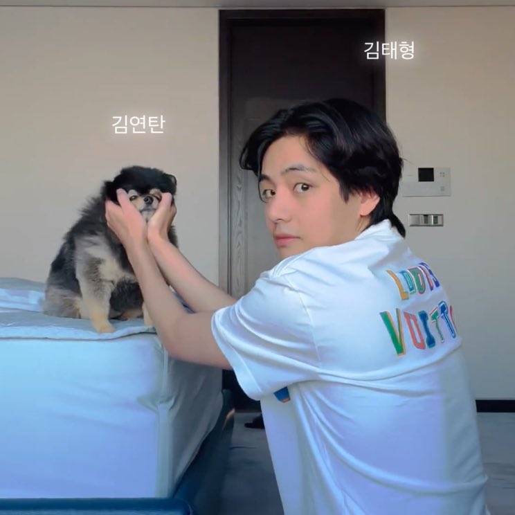 thvrandom's tweet image. 🥺🤍 #btsv