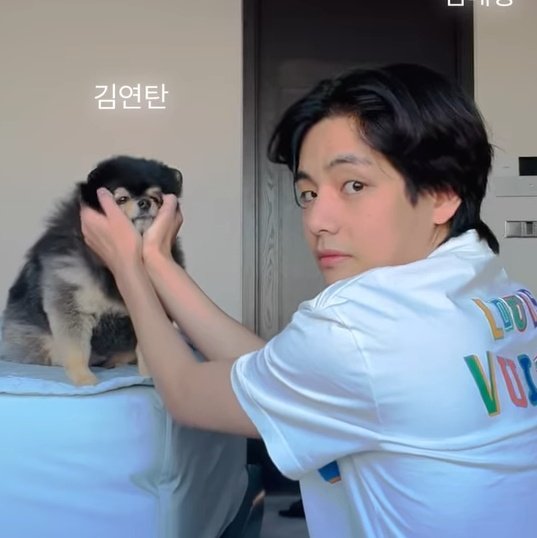 ใจพ้มสลายฮะมุง