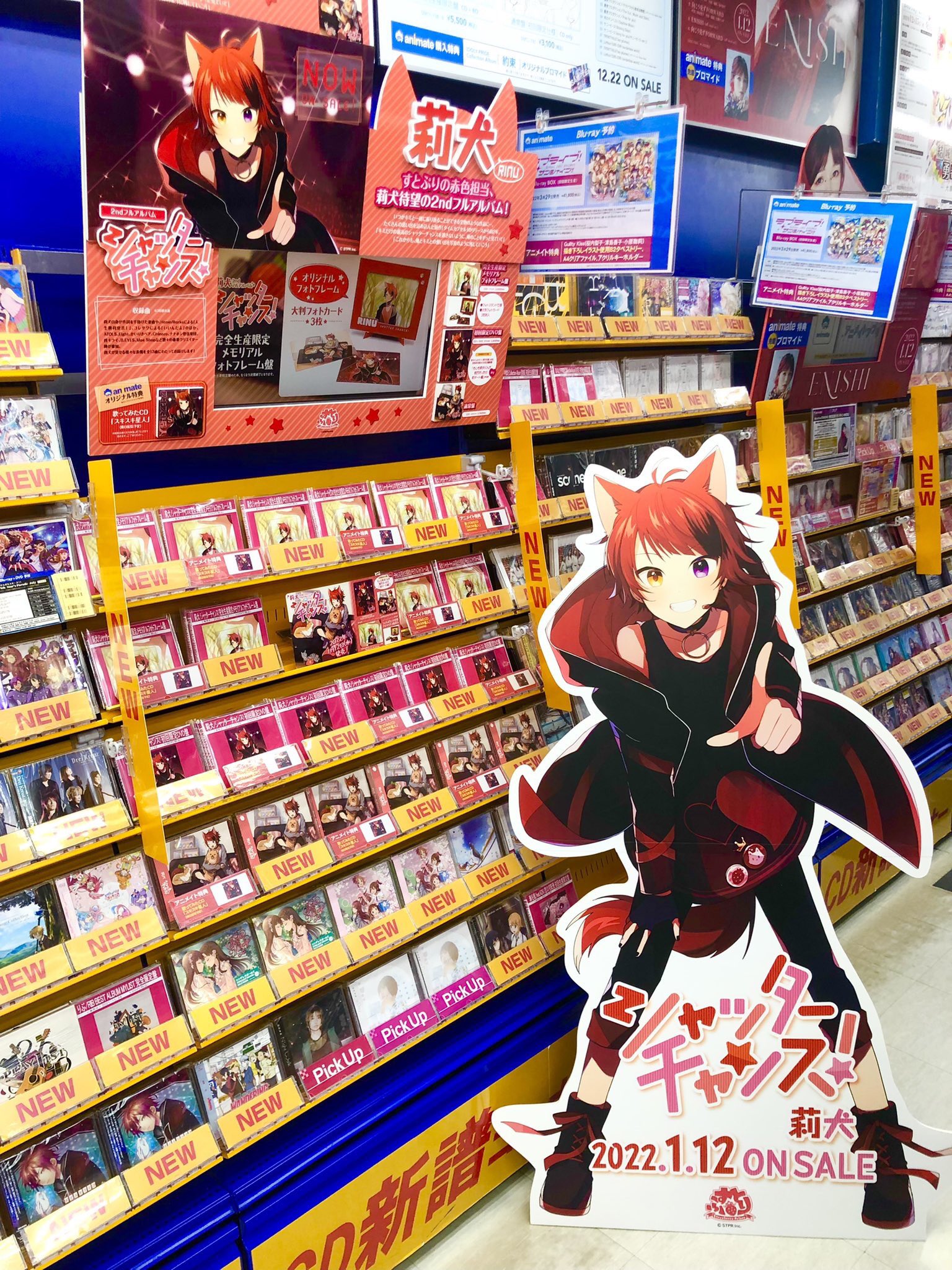 新品★すとぷり【莉犬】アルバム★アニメイト★特典★ブロマイド★6点セット すとぷり 莉犬のSTPRadio 莉犬 アニメイト購入特典 ポストカード