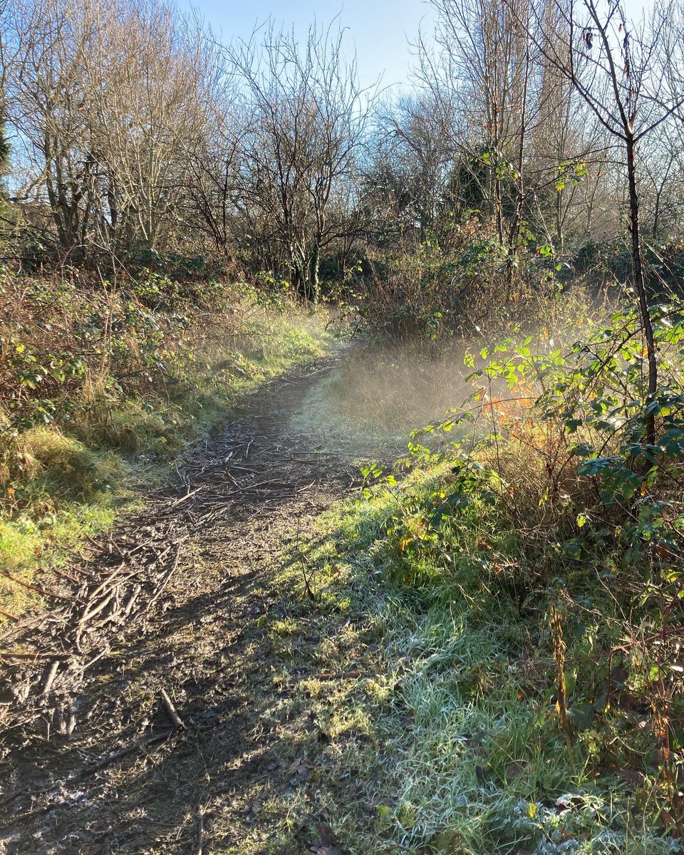WCWCatford's tweet photo. It was a magical day fot #volunterring yesterday - crisp, frosty but sunny with the mist rising. We finished an area for some new raised beds, cleared an area for a #firecircle & planned the #foodgrowing #garden with lots of exciting #perennials #communitygardening #catford https://t.co/37TxjdZzbV