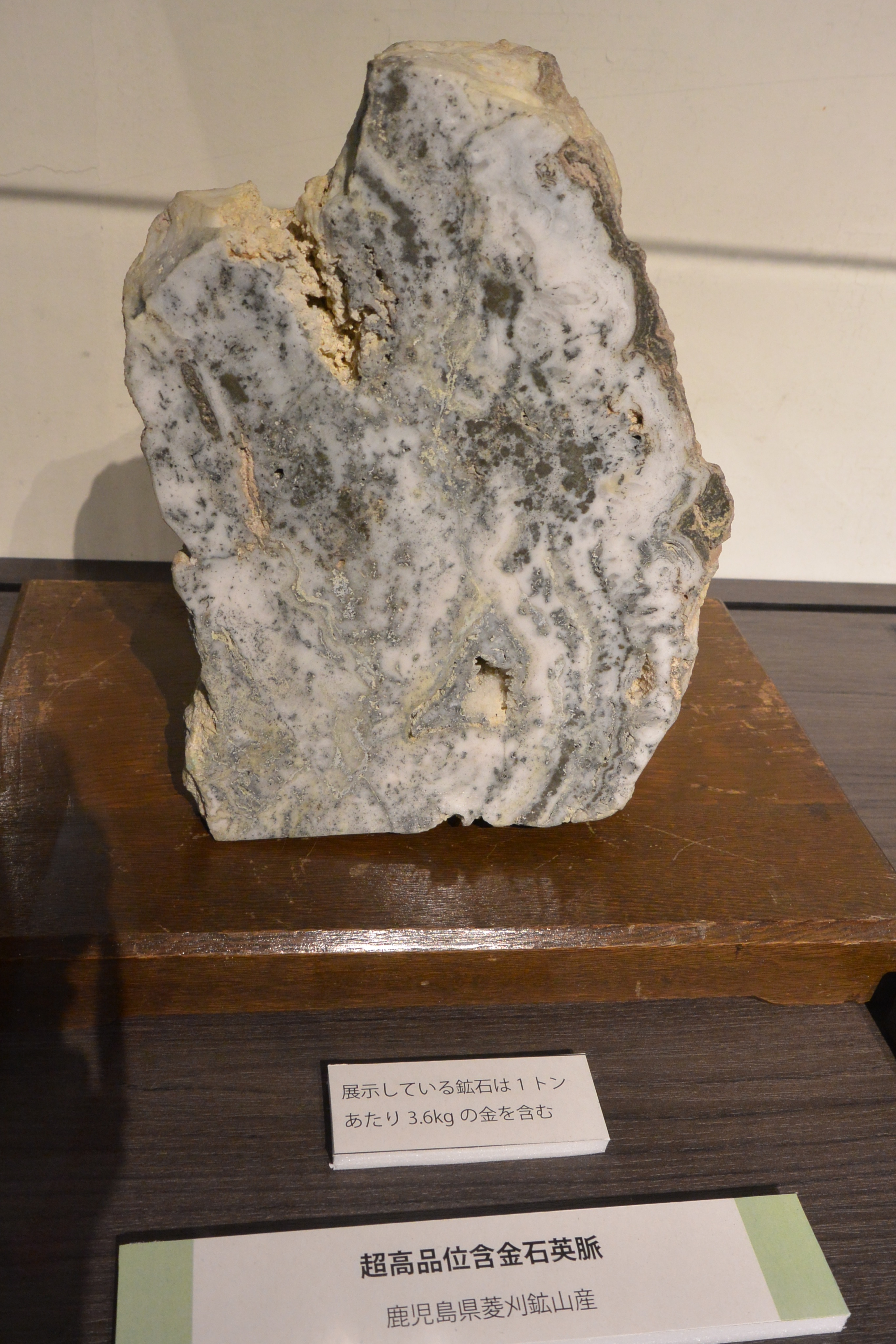 九州大学総合研究博物館 Kyudai Museum Twitter