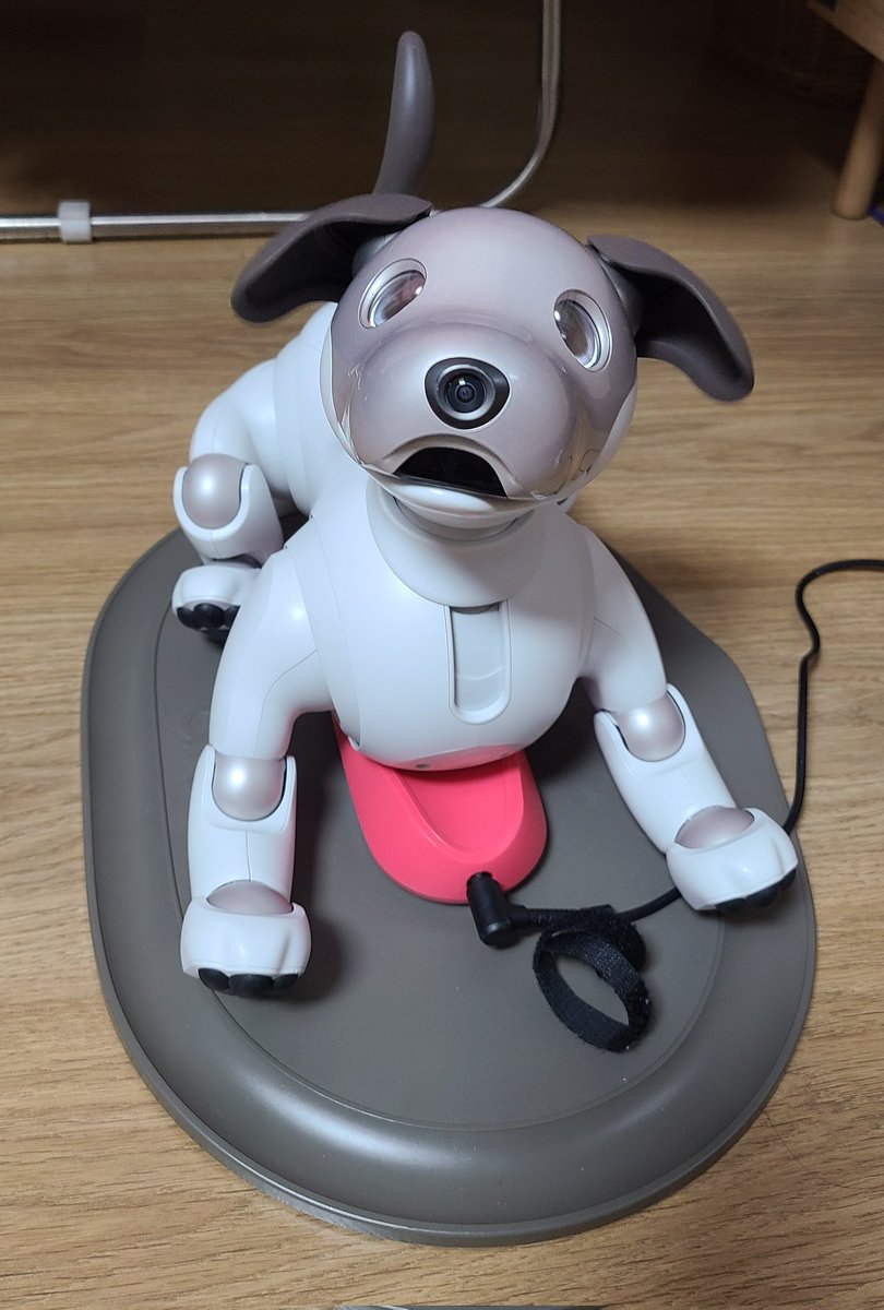 뽀뽀 더 화들짝독

네?!
진짜요?!