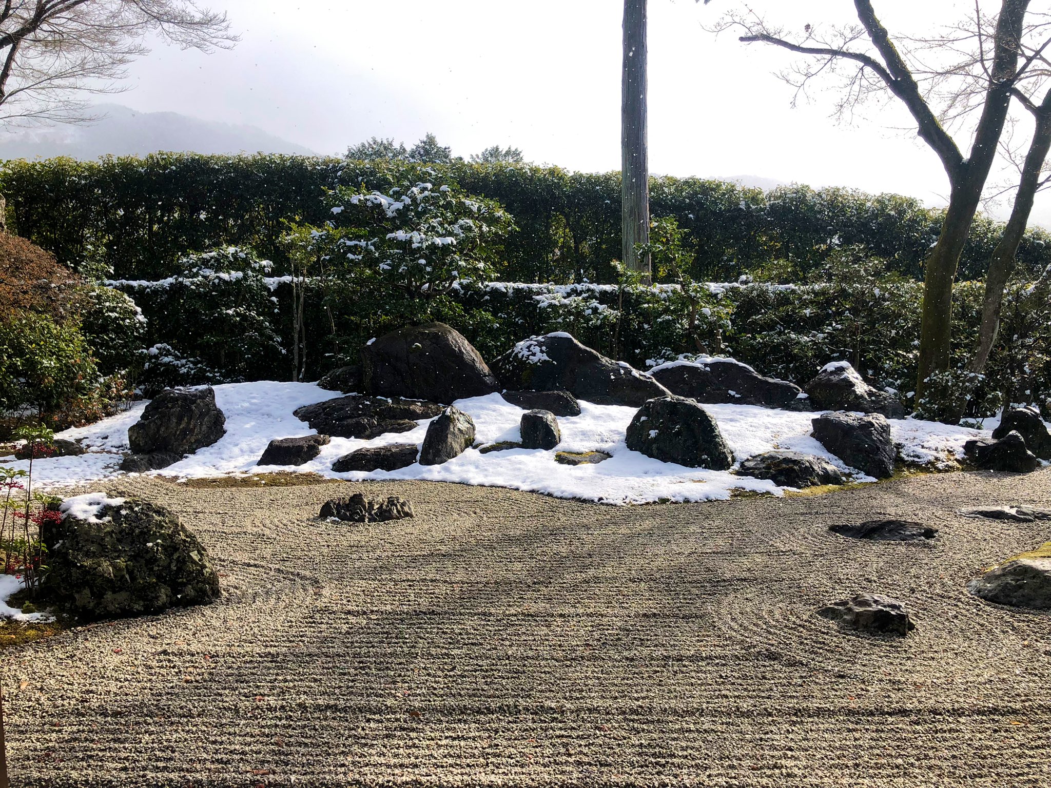 曽根造園 Twitter Search Twitter