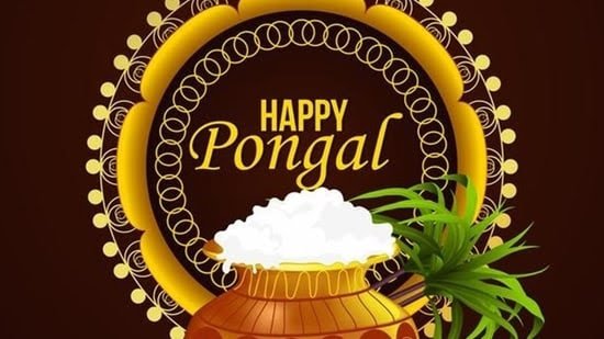 RuckyFx's tweet photo. அனைவருக்கும் இனிய பொங்கல் நல்வாழ்த்துக்கள்😍🌾
Happy pongal &amp; Sankranti wishes to all 
#RockyFM #HappyPongal
#Sankranti https://t.co/WW64eATIMd