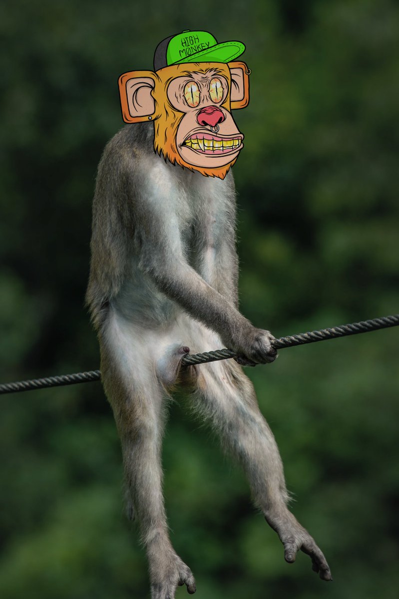 highmonkeynft's tweet photo. #HighmonkeyGiveaway
$ETH #Giveaway 

🔥Rule🔥
1. Follow @highmonkeynft
2. RT &amp; Comment &amp; Tag 3 Friends
3. Join Discord https://t.co/TDgozLgFUc

🎁💵Prize: 100$ Giveaway

🌈END in 12 hr🌈

#NFTCommunity #NFTdrop #cryptocomnft #NFT #NFTs  #Highmonkey #Giveaway #OpenSea https://t.co/CfQFe8j5so