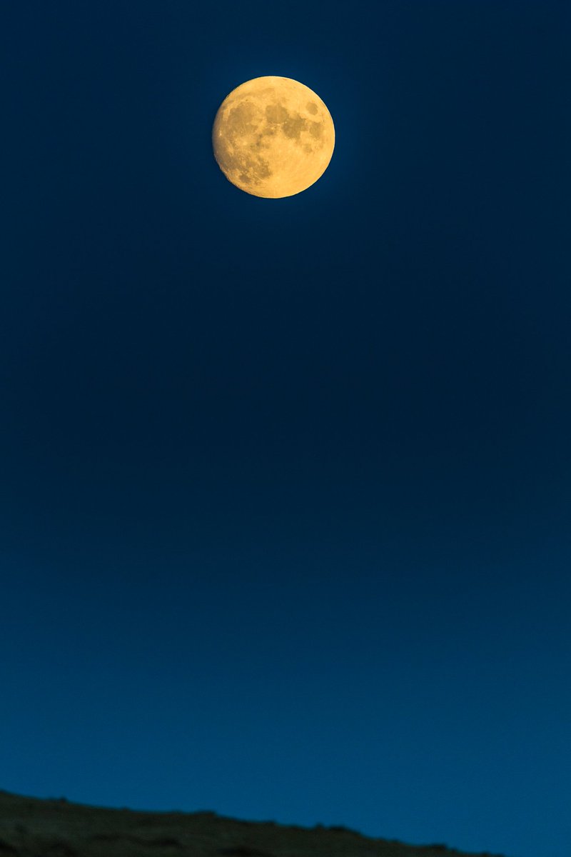 Mphotgraph's tweet photo. #Azerbaijani #luna #kobia #ay #NaturePhotography https://t.co/VYoCJtVMfR