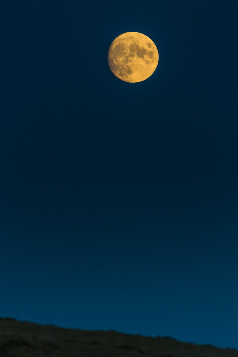 Mphotgraph's tweet photo. #Azerbaijani #luna #kobia #ay #NaturePhotography https://t.co/VYoCJtVMfR