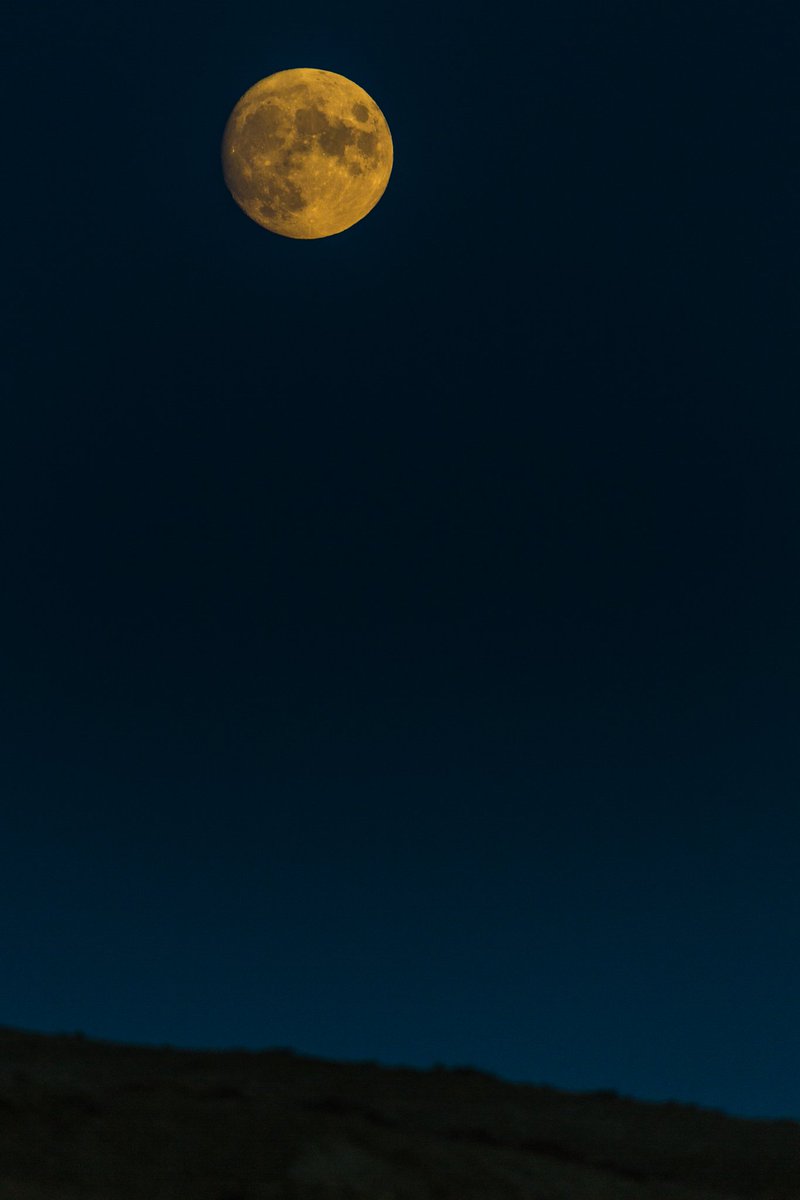 Mphotgraph's tweet photo. #Azerbaijani #luna #kobia #ay #NaturePhotography https://t.co/VYoCJtVMfR