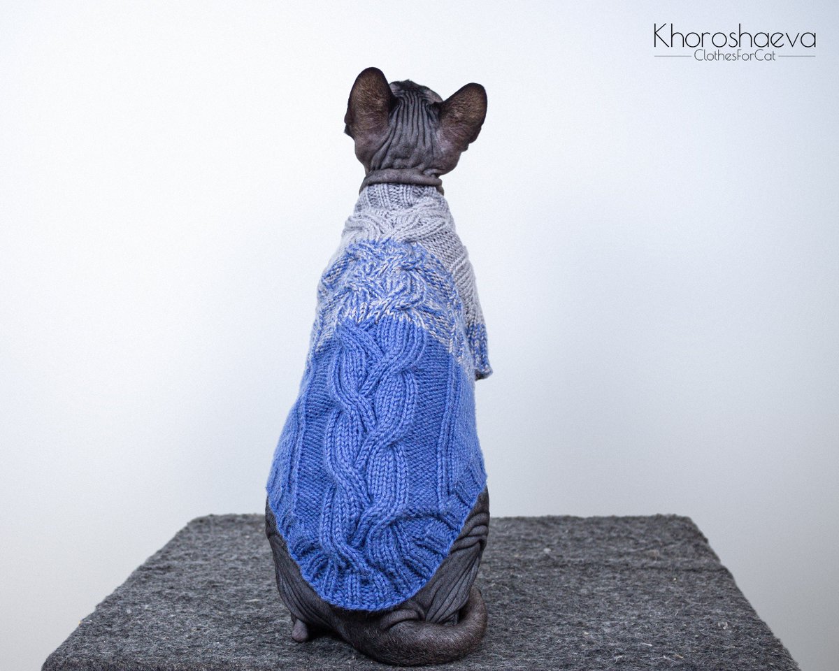 ClothesForCat's tweet photo. Excited to share the latest addition to my #etsy shop: Cat Gradient Cozy Sweater Size L knitting pattern PDF, Sphynx Soft Pullover, Warm jumper for cat + The pattern supplement https://t.co/swlU77xjqx #housewarming #halloween #knitting #catclothespattern #sphynxcatclot https://t.co/XBFbyTCGFh