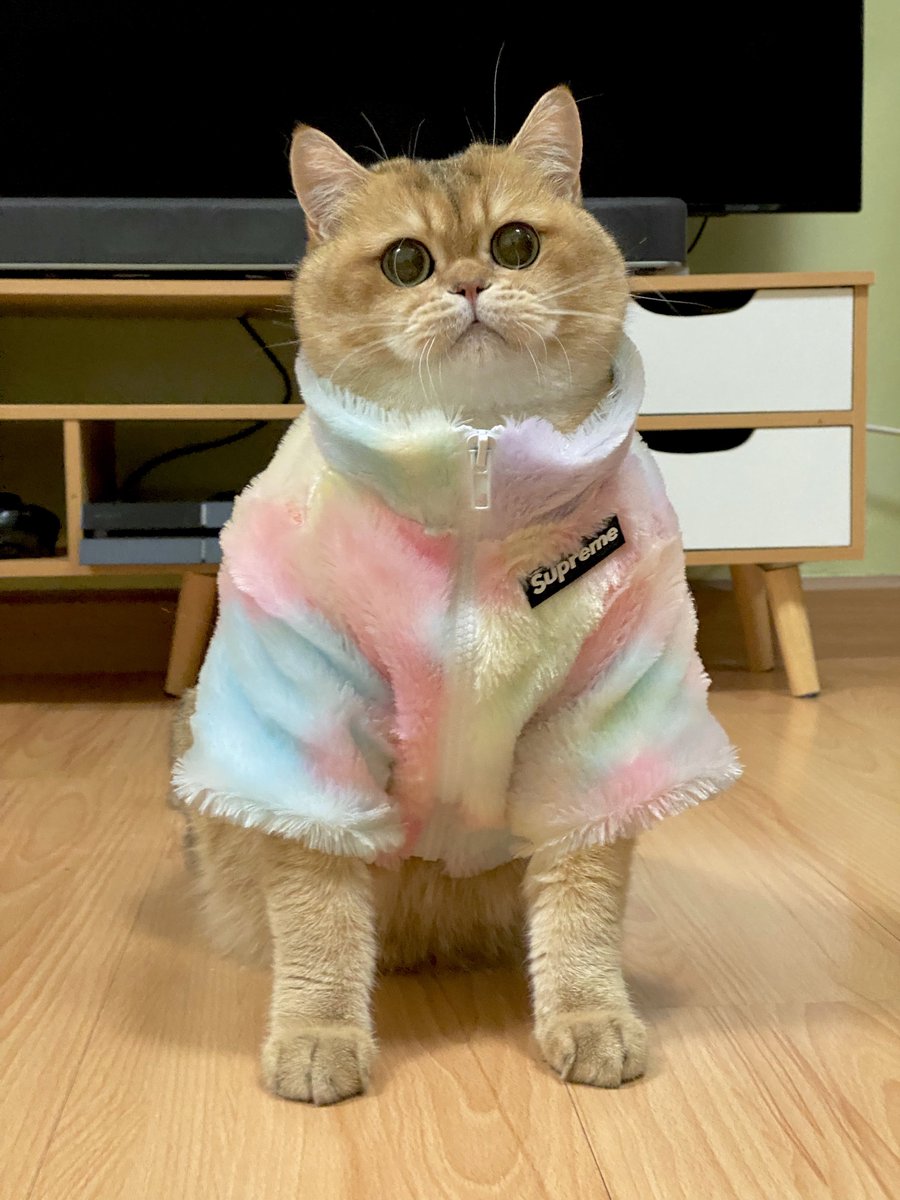 ป๋มเองก็อยากให้พี่สาวจีอาอุ้มบ้างจังเลยฮะ 😳