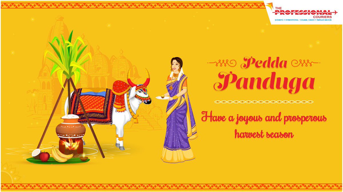 TPCGlobeCares's tweet photo. The Professional Couriers wishes everyone a Happy Pedda Panduga. May this festival bring a good harvest, health and fortune to your life.

#Peddapanduga #TheProfessionalCouriers #CourierService #DeliveringHappiness #ConnectingDistances #CourierNow #safeshipping https://t.co/NyA4BOhDHe