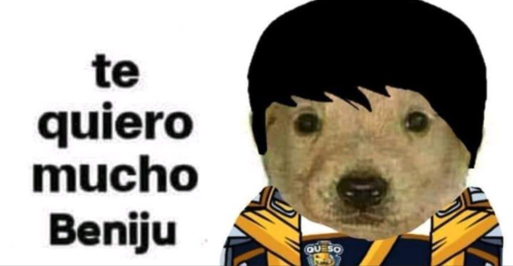 Permaxes tweet media