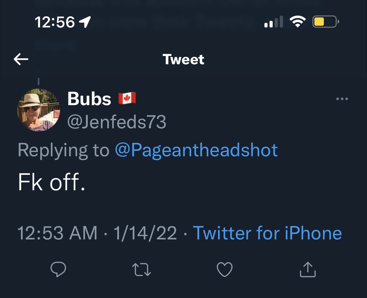 Pageantheadshot's tweet image. I love it when a person you respond knows you are right so all they can reply with us F off abs block you lol