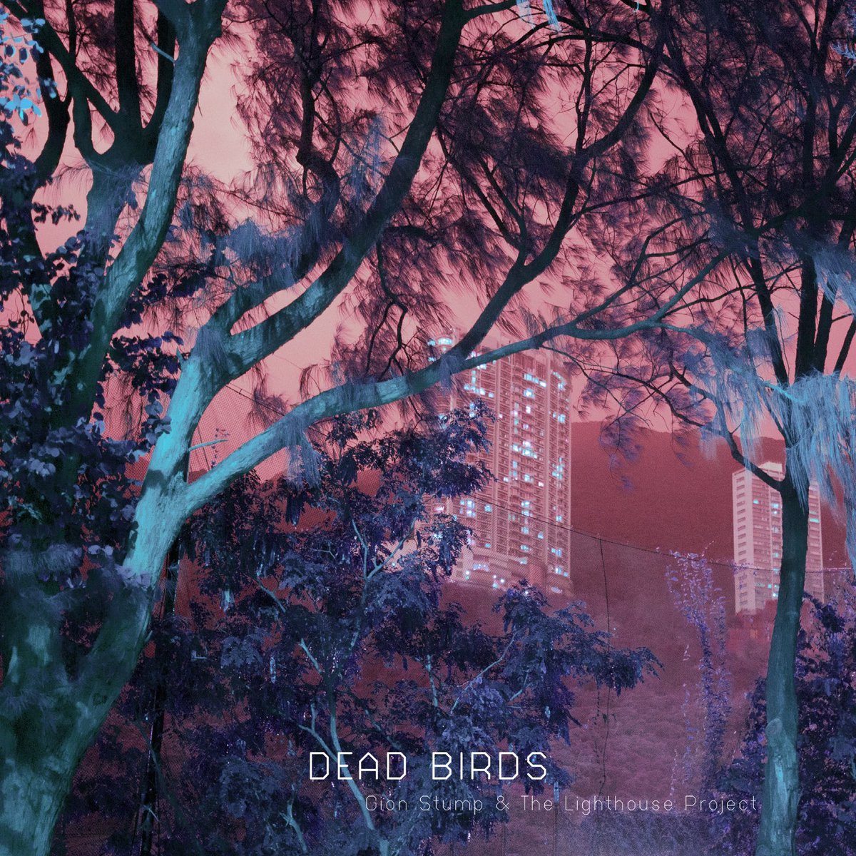 GSLPofficial's tweet photo. Listen to DEAD BIRDS now 🐦 

https://t.co/BeRj4wdIOJ https://t.co/Lrywyb2nxB