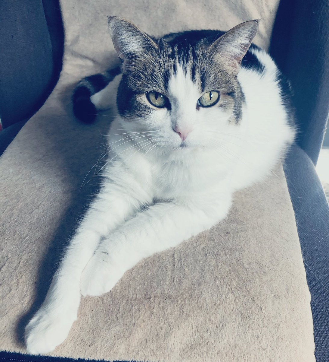 this little love of mine has turned 13!