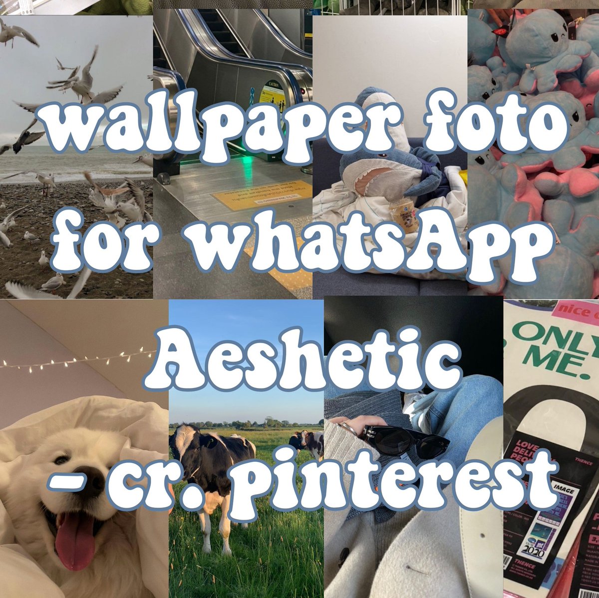 JAKEYSHEEZ's tweet image. — WALLPAPER WA AESHETIC
. [Cr = Pinterest.]
 *        .—  ( THEREAD) —.