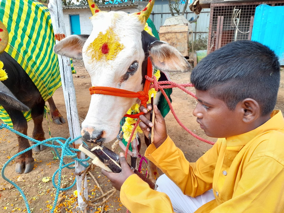 GopalKeshri's tweet photo. Blessed to be part of #Sankranti #Pongal festival celebration at #Mathrudhama Children's Home at #Bengaluru 

One of the pious day in Hindu Panchang. Thank you @Mathrudhama for organizing Sanranti traditional way and making us felt blessed. https://t.co/GLKhd9zHu4