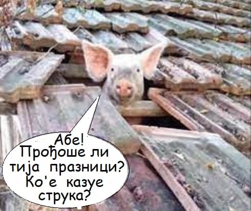 FJCosdVWYAM2v-j?format=jpg&name=small