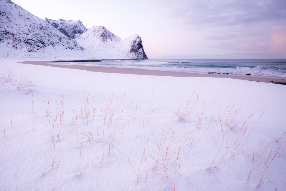 ds_kanal's tweet photo. Good morning twitter 😃
Some slight morningglow from this gorgeous place 💫

Lofoten, january 2022 https://t.co/ZvkjS7U4I6