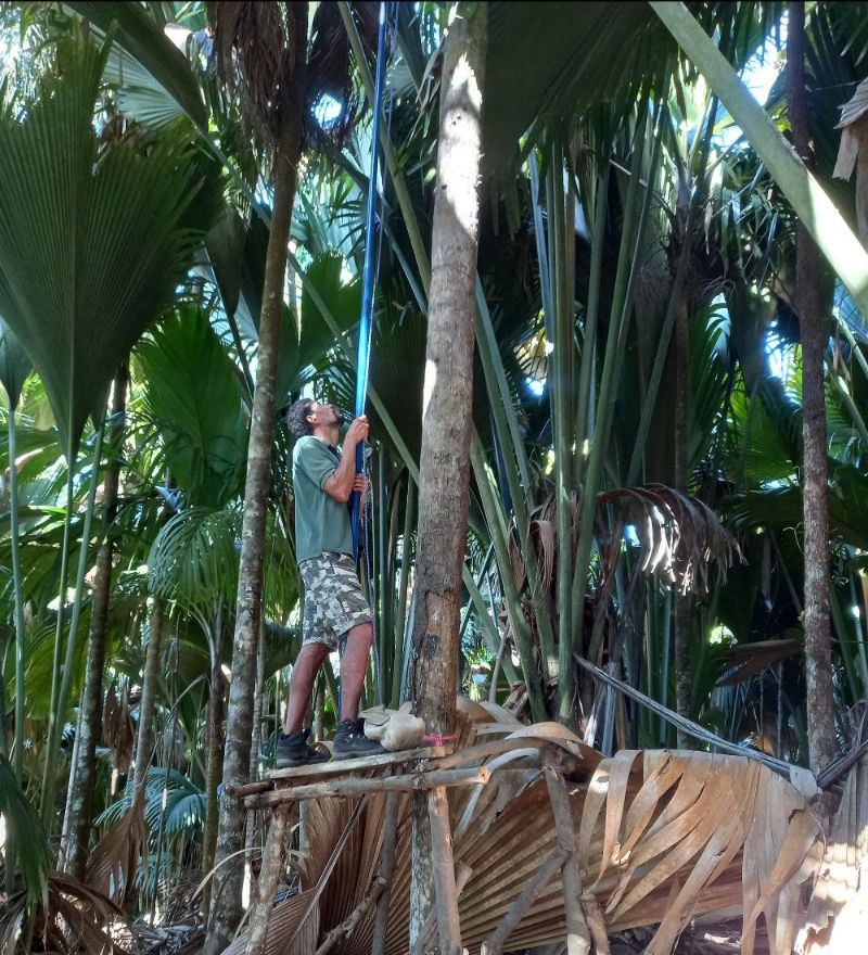 SIF_Seychelles's tweet photo. The November #SIFNewsletter is out! Check out the last developments of SIF's 2021 here - https://t.co/eIrA0LfGlI From remote working, sexual harassment training, #blackparrot monitoring to #biosecurity &amp; much more, our team have created quite the foundation for an exciting 2022! https://t.co/ovUbC6929G