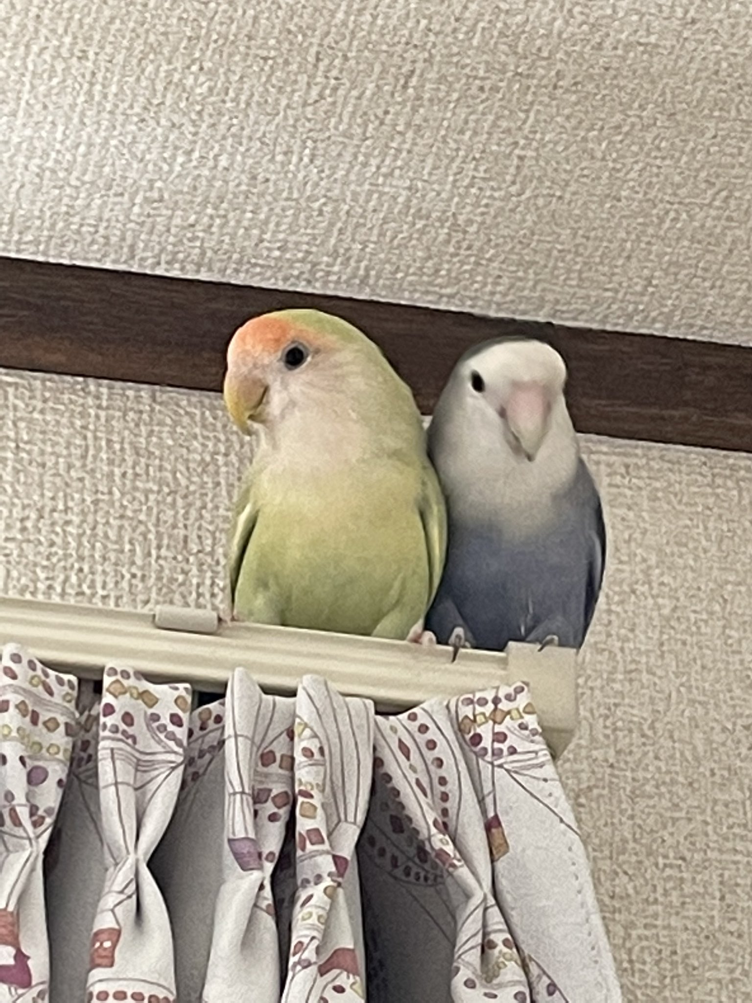 ち Kissarmy15 Twitter
