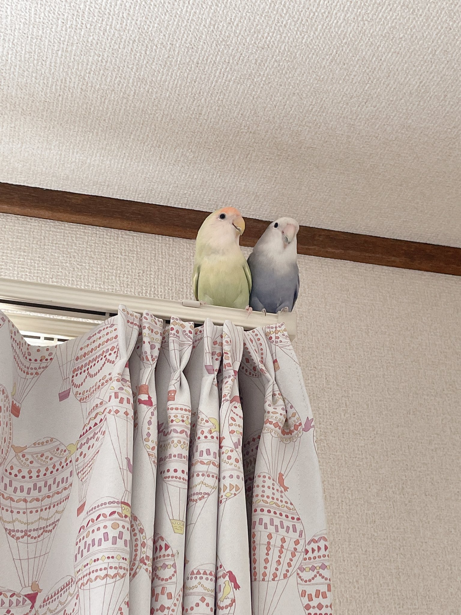 ち Kissarmy15 Twitter