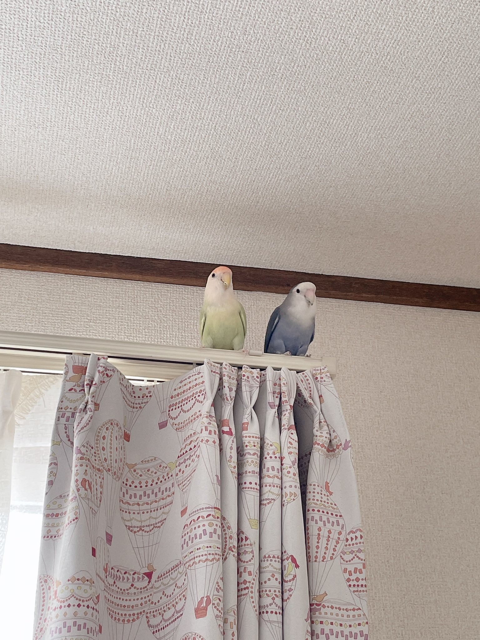 ち Kissarmy15 Twitter