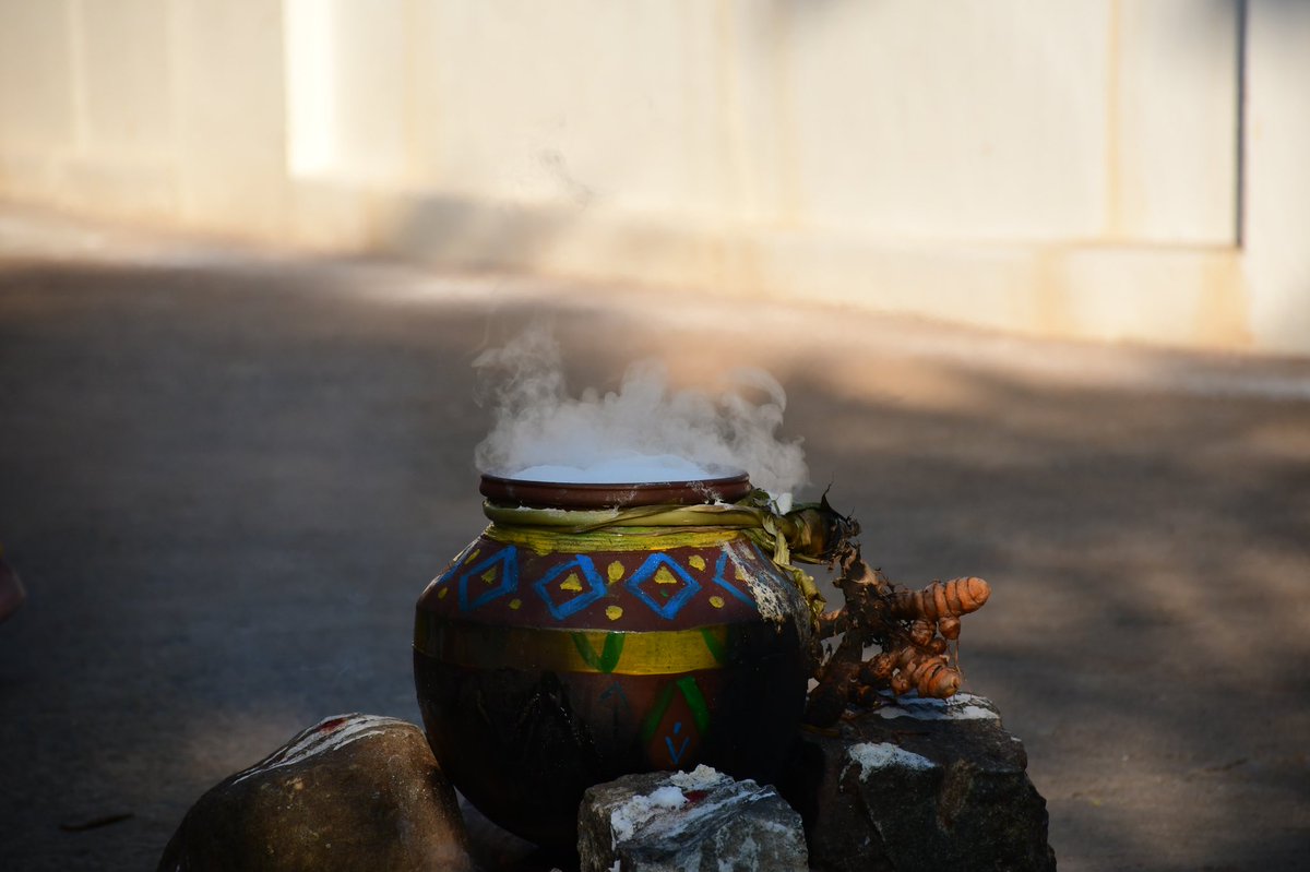 shreya_psingh's tweet photo. Iniya Pongal nalvaazhthukkal... https://t.co/uf0fleForX