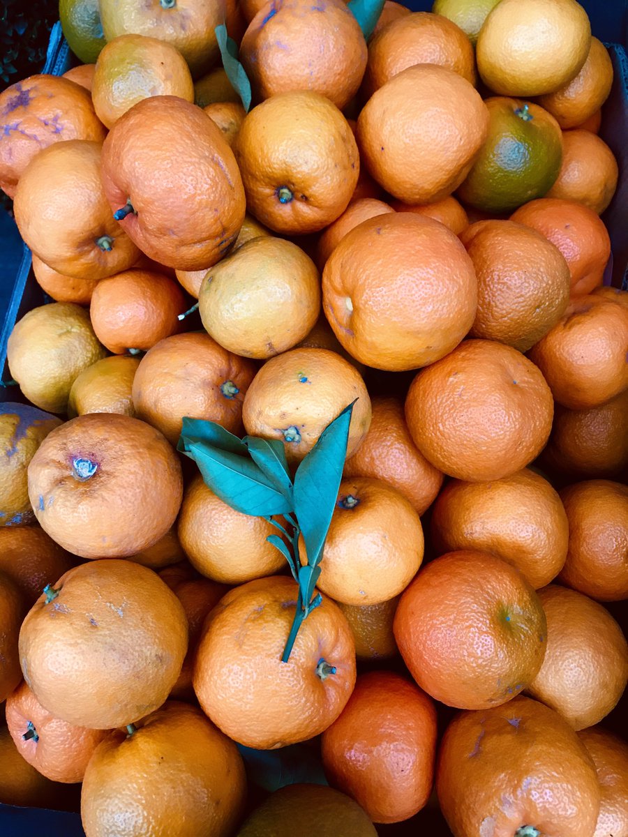 Seville oranges available right now, but not for long. Homemade marmalade is one of winter’s great pleasures, so come &amp; get some! We have lovely blood oranges &amp; clementines too.