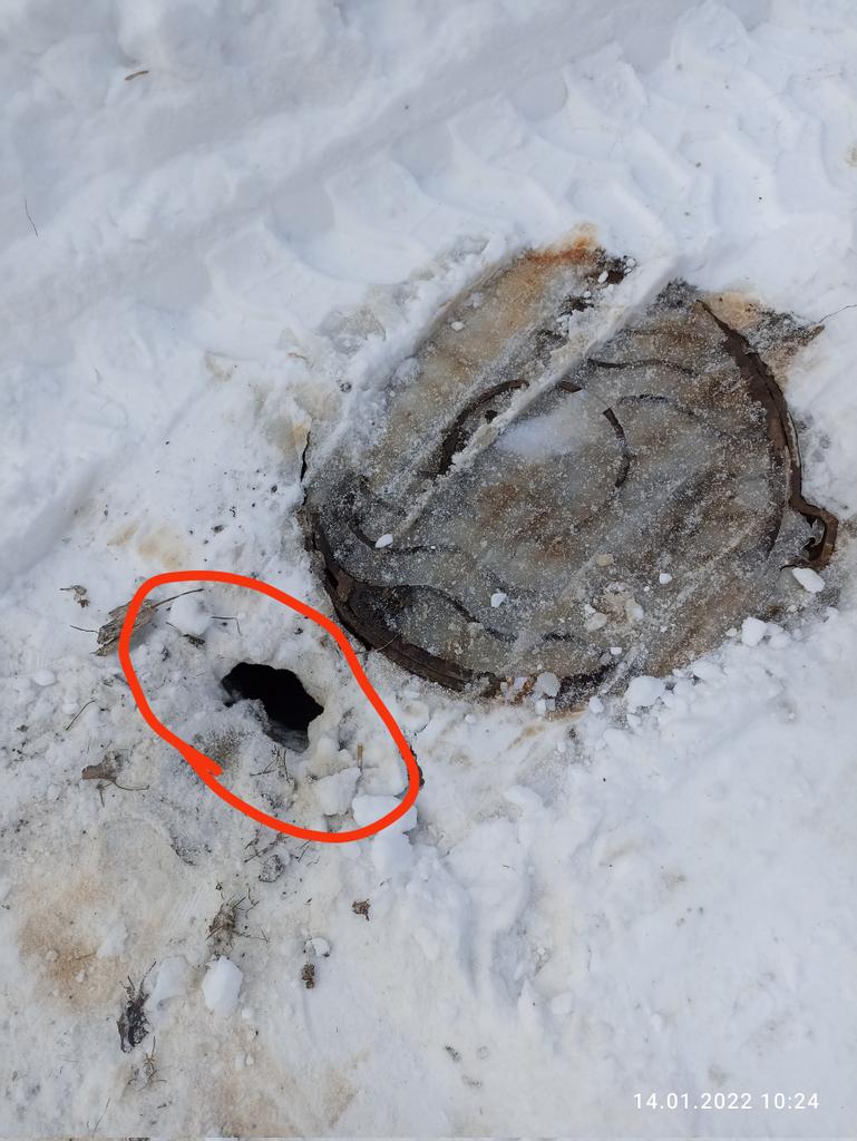 Светлана М tweet media