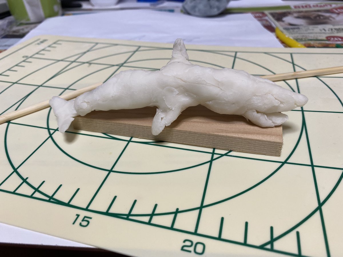 SharkBoyInJapan's tweet photo. Shark on the Kamaboko board. Kamaboko is Japanese popular food, and It is sometimes made of sharks.

#shark https://t.co/ehGBVB9c4R
