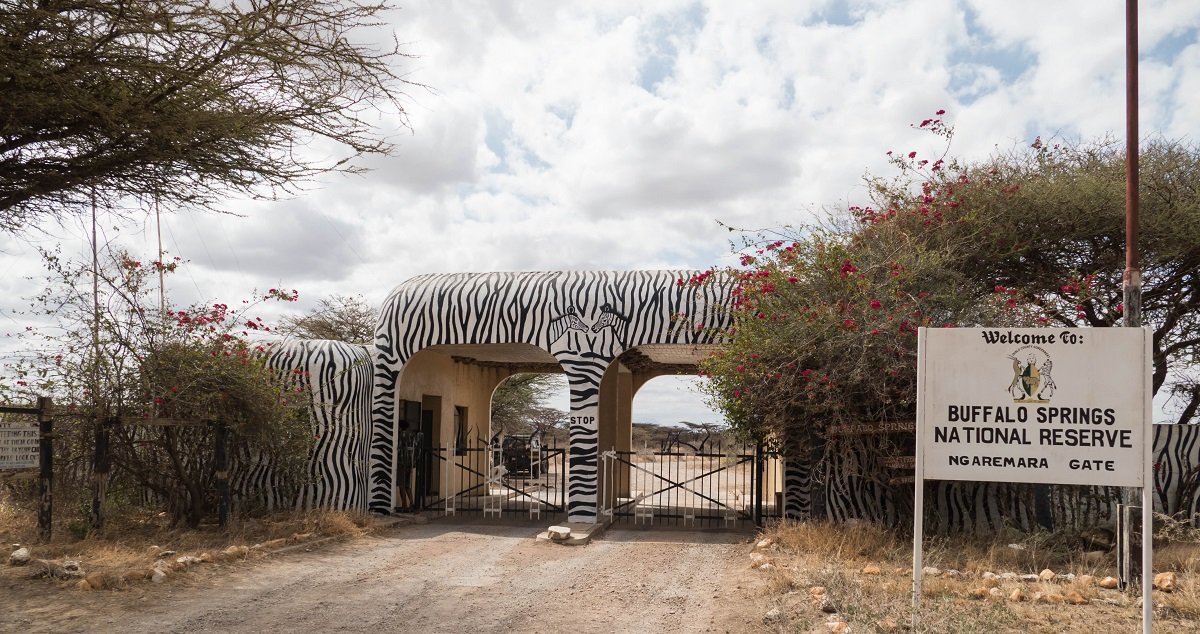 wisdomsafaris's tweet photo. Buffalo spring National reserve ,  a great place to visit in isiolo county for great experience. 

@isioloCounty011 @IsioloTourism https://t.co/aiapjtLgY1