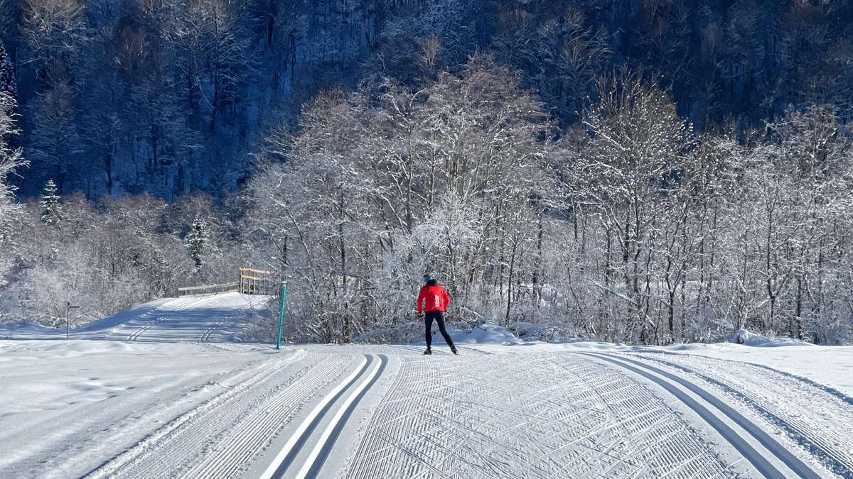 Viva Disentis tweet media