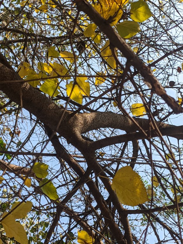 #naturephotography #NatureBeauty #NatureBeauty #naturebasedsolutions #lovenature