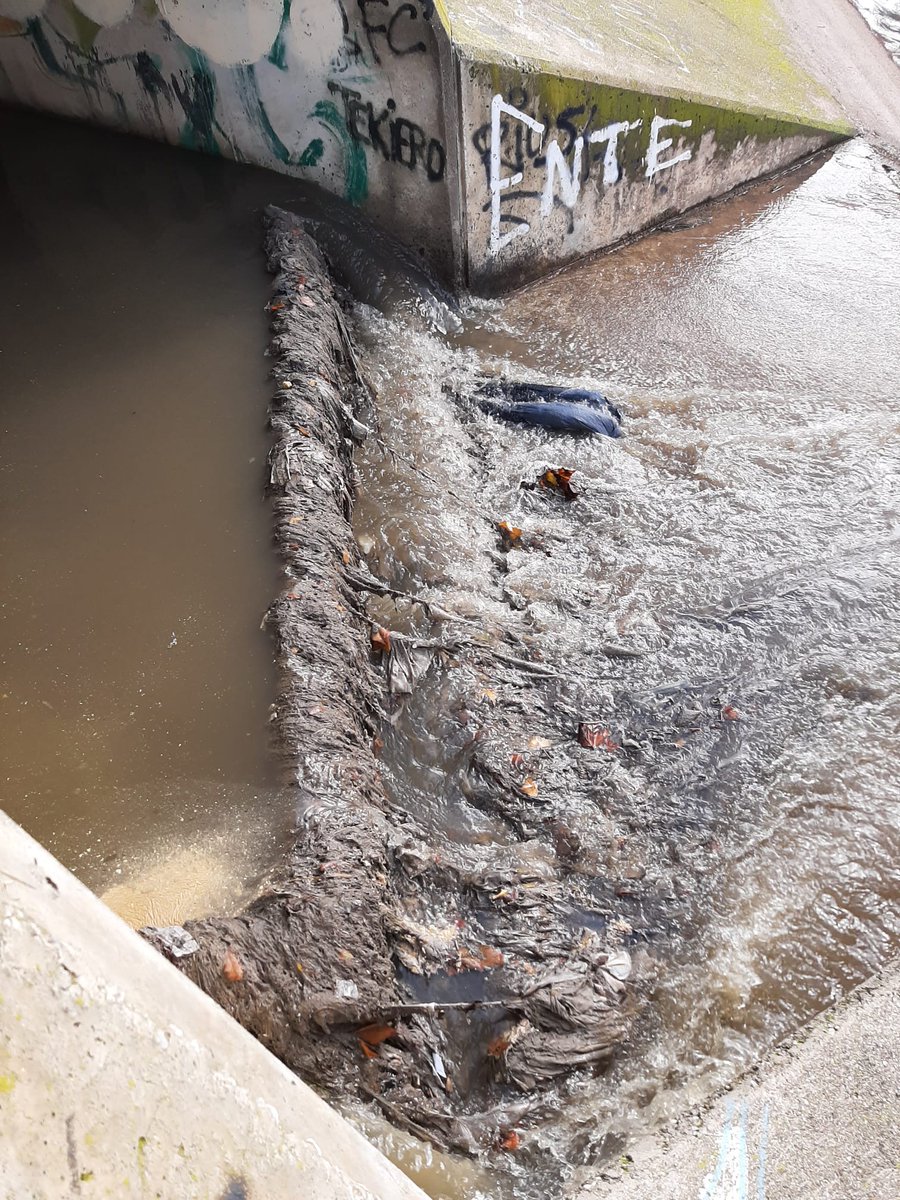 tecnograbber's tweet photo. Nuevo sistema #TecnoGrapas basculante en acero inoxidable, que permite la retención de residuos en lugares de difícil instalación. 
TecnoConverting Engineering seguimos innovando para evitar que los residuos lleguen a nuestros ríos y mares.
#Bewater #agualimpia #aguaesvida https://t.co/d44kL71O2X