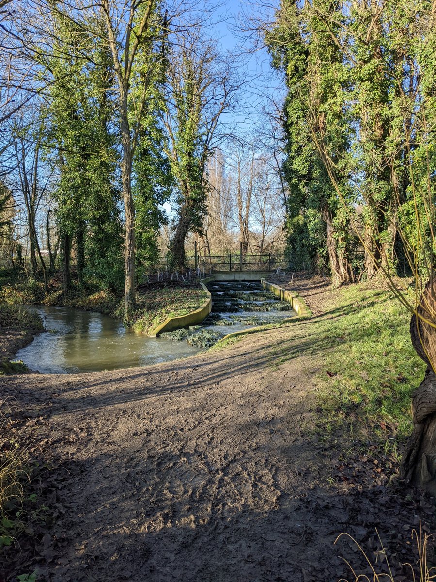 ReadingRotaryClub tweet media