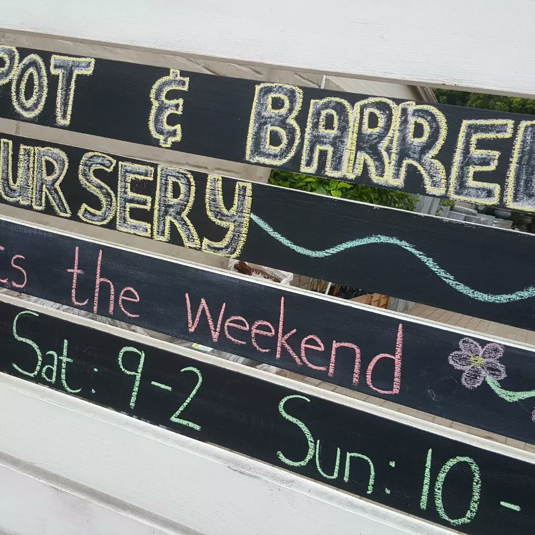 PotBarrel's tweet photo. What a Day in the Bay at The Pot & Barrel Nursery !
#givinggardens #FruitTrees #nuttrees #gardenlife #komonsbraai #lekkerbydiesee #plantnursery #gardendesign https://t.co/zLKKzBJuxZ