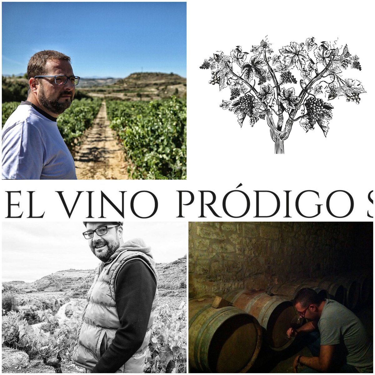 Micro proyecto en corazón de Sonsierra riojana con filosofía de trabajo bien definida, vinos sin intervención Enologica ni tecnológica
#artisanwineattraction #barcelonawineweek #barcelonawineweek2022 #bww2022 #bww #vino #vi #vin #wein #wine #winelover #winetime  #vinho #wineporn