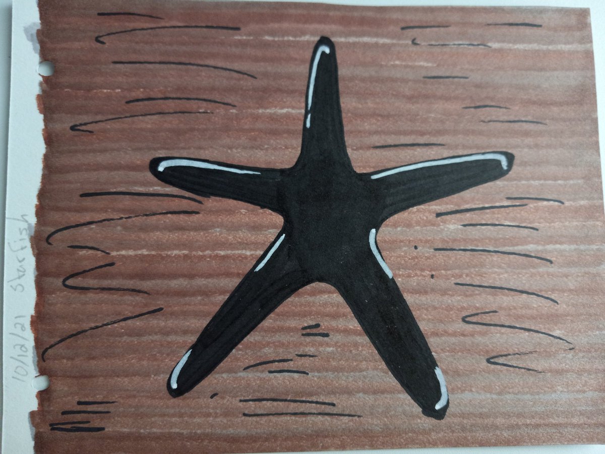 A_P_Ink_360's tweet photo. A free hand silhouette of a star fish. I think they're appendages are supposed to be uniform.
#Failedart #failfridays #traditionalart #art #markerart #alcoholmarkers #sealife https://t.co/vJAbpnO2zJ