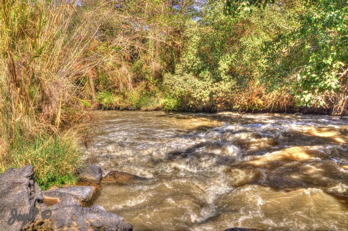 jason_peters1's tweet photo. Awash River, Oromia #BeautifulEthiopia https://t.co/RIsDap4szK