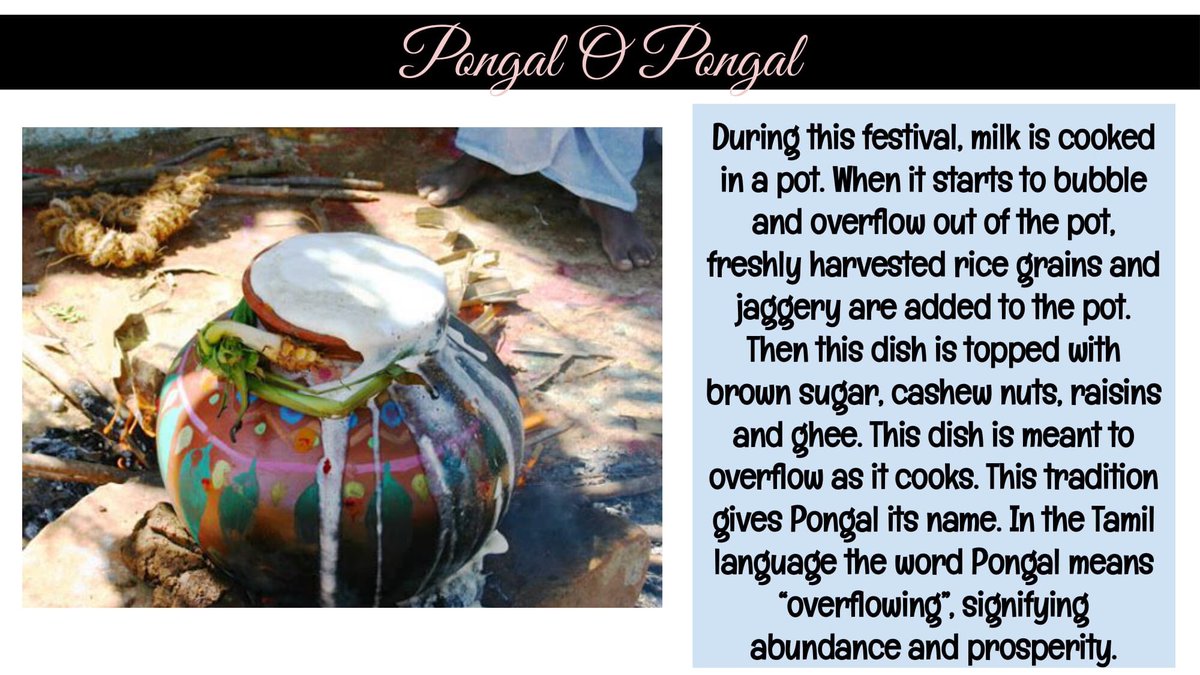 DensaNetwork's tweet photo. Wishing everyone celebrating today a Happy Pongal #ThaiPongal #TamilHeritageMonth @DDSBSchools @equity_DDSB @ParentsDDSB https://t.co/bX8wCNoj7l