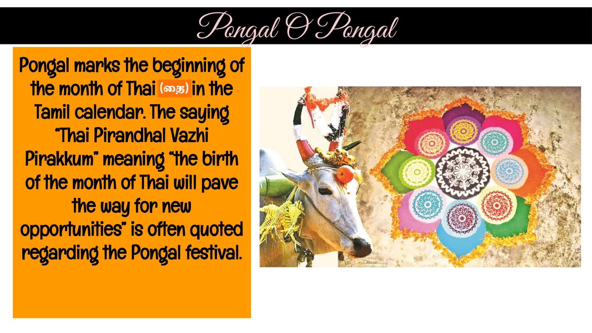 DensaNetwork's tweet photo. Wishing everyone celebrating today a Happy Pongal #ThaiPongal #TamilHeritageMonth @DDSBSchools @equity_DDSB @ParentsDDSB https://t.co/bX8wCNoj7l