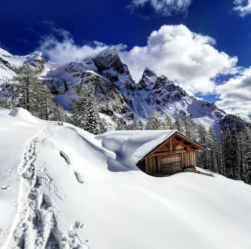 Ho impressi nella mente il silenzio della neve, il battito del mio cuore, la meraviglia delle Pale di San Martino innevate. 

Concediti emozioni uniche in Trentino.

Ti aspettiamo all’ Hotel all’ Hotel Isolabella wellness, art &amp; music per consigliarti ta… instagr.am/p/CYtR4VlIKnU/