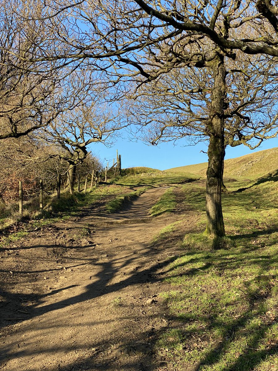 Giles Page tweet media