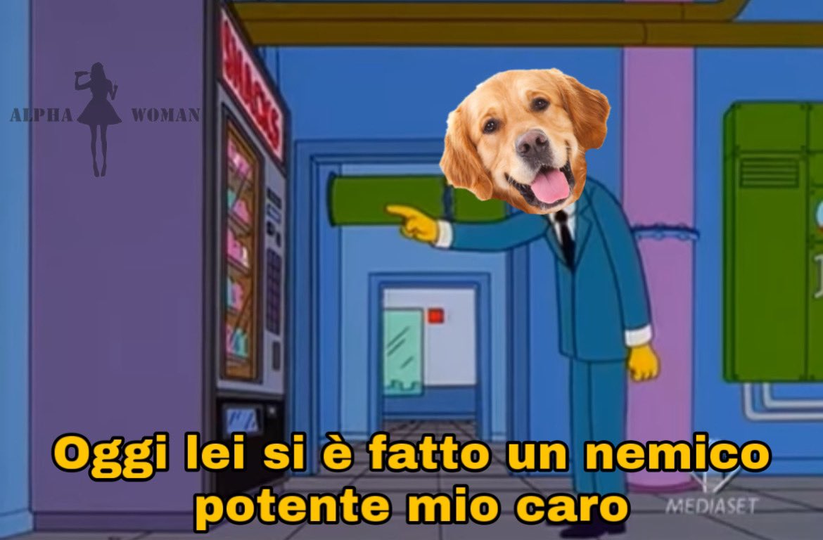 Come immagino il mio cane quando mi vede dare del cibo ad un gatto