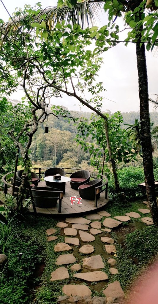 fhf1212's tweet photo. Bali Ubud ✈💔 https://t.co/mFrILzs5eT