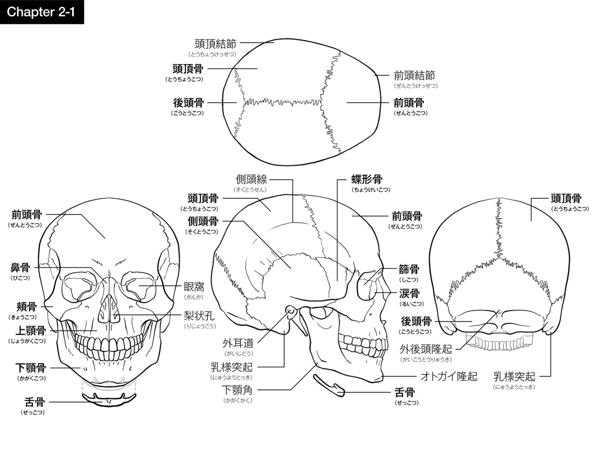 現在Colosoさんの動画教材の資料を作成中。動画の方も監修中で、字幕があった方が便利という私のわがままから、公開後2週間程度で字幕にも対応してくださるとのこと。https://t.co/ObXMRZePlO 